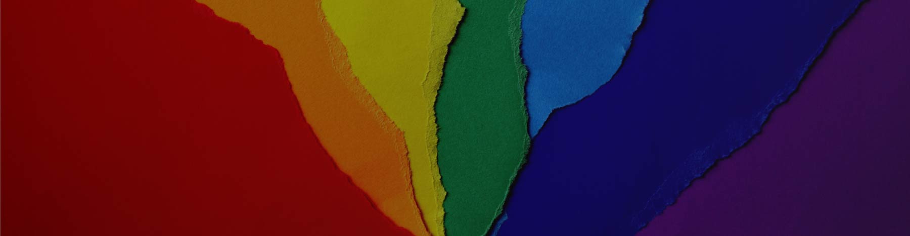 Queering Your Practice: Working Competently, Affirmingly and Confidently with LGBTQ2IA+ Clients